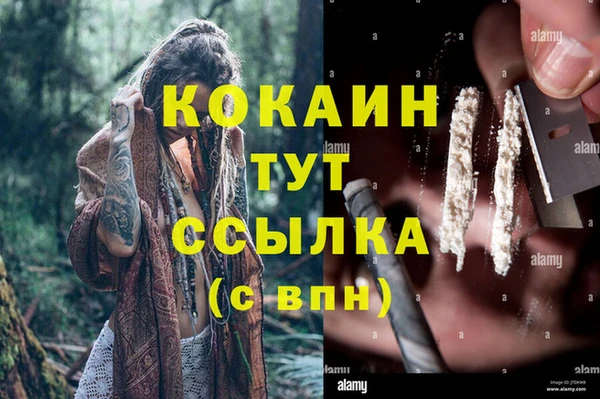 дурь Алзамай