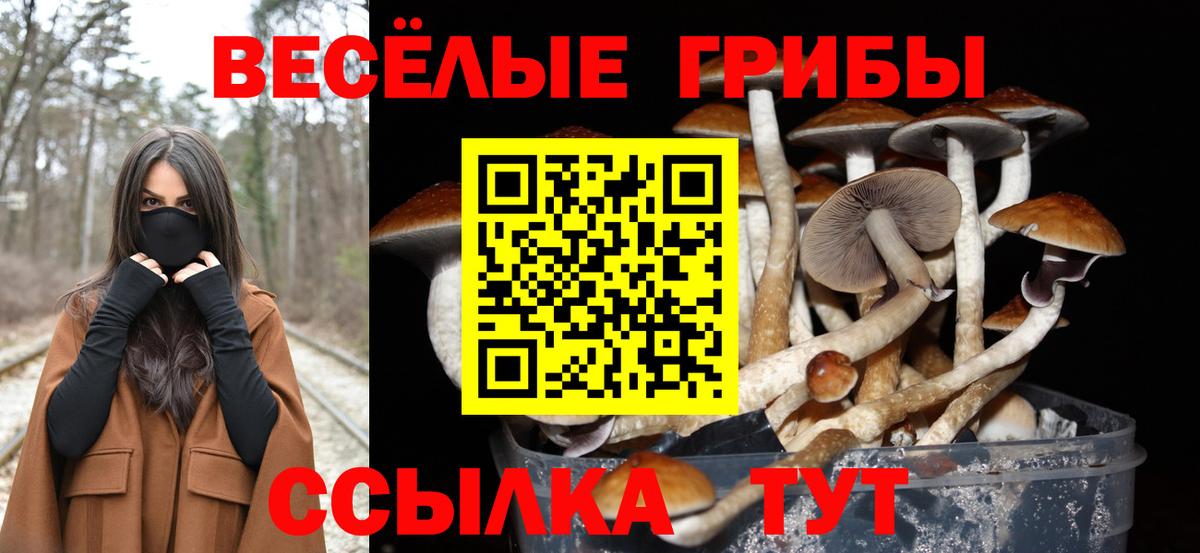 Нововоронеж  Галлюциногенные грибы прущие грибы  Вход с VPN 